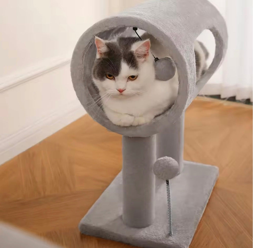Tunnel & Scratching Tower