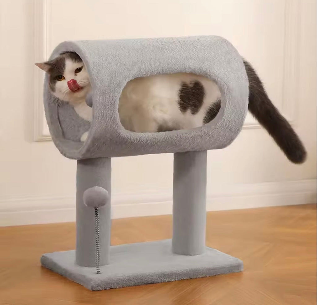 Tunnel & Scratching Tower